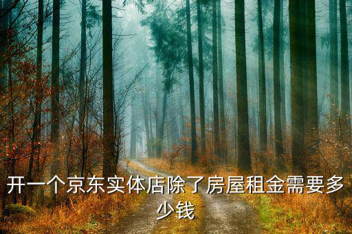 開(kāi)一個(gè)京東實(shí)體店除了房屋租金需要多少錢(qián)