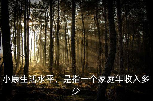 小康生活水平，是指一個(gè)家庭年收入多少