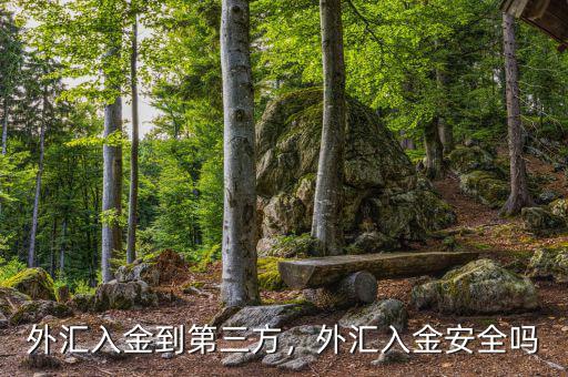 外匯入金到第三方，外匯入金安全嗎