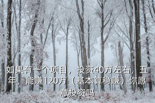 如果有一個項目，投資40萬左右，五年，能賺120萬（基本算穩(wěn)賺）你愿意投資嗎