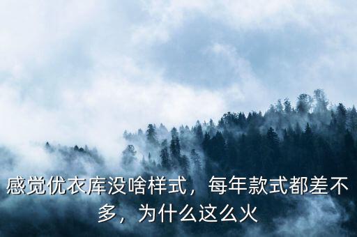 感覺優(yōu)衣庫沒啥樣式，每年款式都差不多，為什么這么火