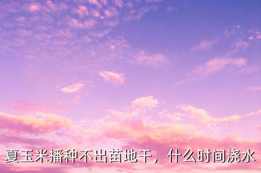 夏玉米播種不出苗地干，什么時間澆水