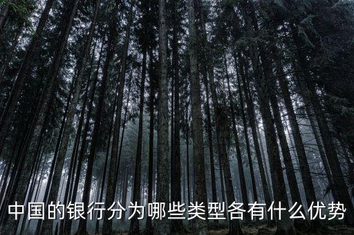 中國的銀行分為哪些類型各有什么優(yōu)勢(shì)