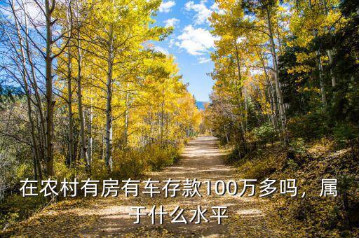 在農(nóng)村有房有車存款100萬多嗎，屬于什么水平