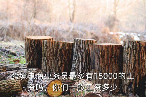 跨境電商業(yè)務(wù)員最多有15000的工資嗎，你們一般工資多少