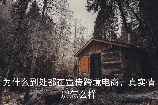為什么到處都在宣傳跨境電商，真實情況怎么樣