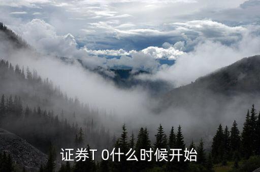 證券T 0什么時(shí)候開始