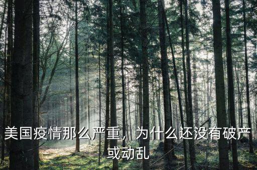 美國為什么不會破產(chǎn),美國疫情那么嚴(yán)重
