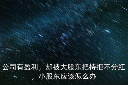公司有盈利，卻被大股東把持拒不分紅，小股東應(yīng)該怎么辦