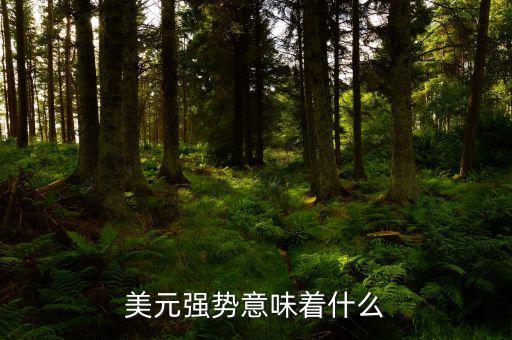 美元強(qiáng)勢意味著什么