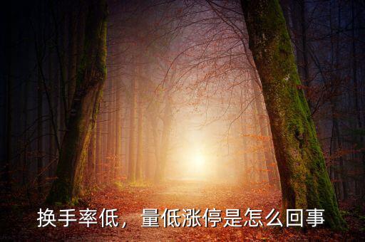 換手率低，量低漲停是怎么回事