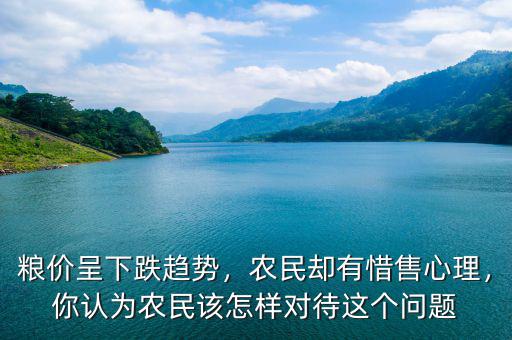 糧價呈下跌趨勢，農(nóng)民卻有惜售心理，你認為農(nóng)民該怎樣對待這個問題