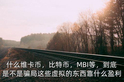 什么維卡幣，比特幣，MBI等，到底是不是騙局這些虛擬的東西靠什么盈利