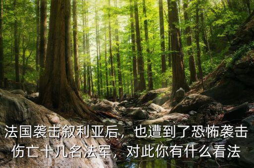 法國襲擊敘利亞后，也遭到了恐怖襲擊傷亡十幾名法軍，對此你有什么看法