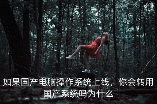 如果國產(chǎn)電腦操作系統(tǒng)上線，你會轉用國產(chǎn)系統(tǒng)嗎為什么