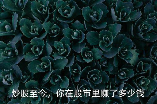 炒股至今，你在股市里賺了多少錢