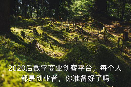 2020后數(shù)字商業(yè)創(chuàng)客平臺，每個人都是創(chuàng)業(yè)者，你準(zhǔn)備好了嗎