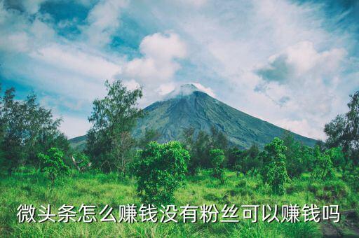 微頭條怎么賺錢(qián)沒(méi)有粉絲可以賺錢(qián)嗎