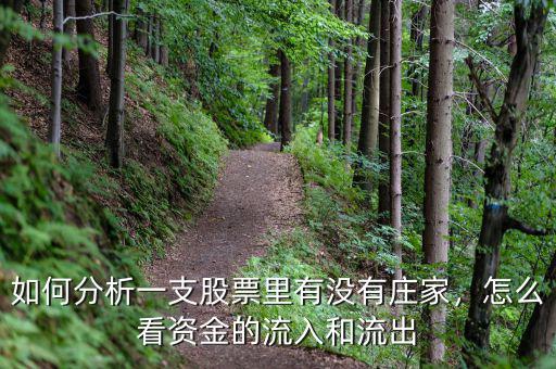 如何分析一支股票里有沒有莊家，怎么看資金的流入和流出