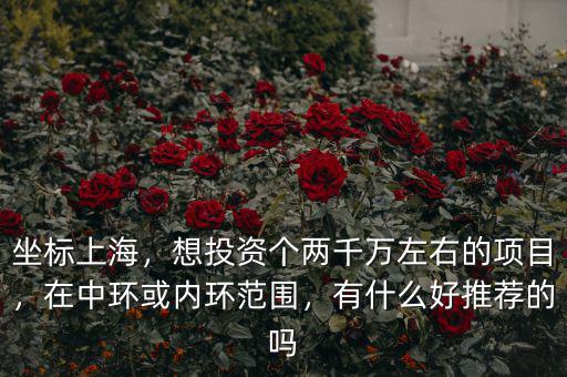 坐標上海，想投資個兩千萬左右的項目，在中環(huán)或內(nèi)環(huán)范圍，有什么好推薦的嗎