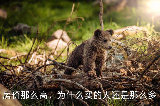 房價(jià)那么高，為什么買的人還是那么多
