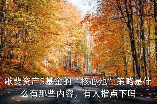 歌斐資產(chǎn)S基金的“核心池”策略是什么有那些內(nèi)容，有人指點下嗎