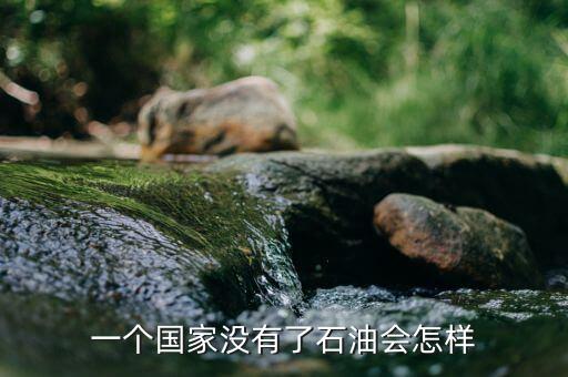 一個(gè)國家沒有了石油會怎樣