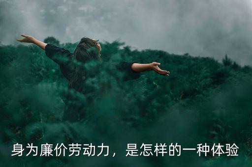 身為廉價(jià)勞動(dòng)力，是怎樣的一種體驗(yàn)