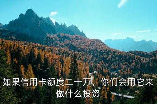 如果信用卡額度二十萬，你們會(huì)用它來做什么投資