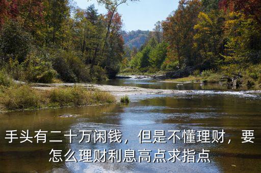 手頭有二十萬閑錢，但是不懂理財，要怎么理財利息高點(diǎn)求指點(diǎn)