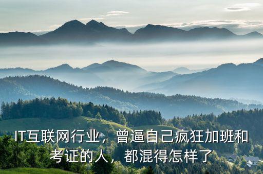 IT互聯(lián)網(wǎng)行業(yè)，曾逼自己瘋狂加班和考證的人，都混得怎樣了