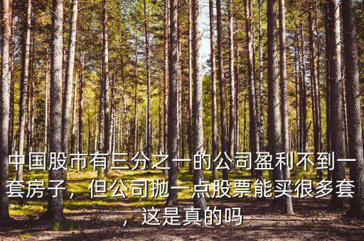 中國股市有三分之一的公司盈利不到一套房子，但公司拋一點(diǎn)股票能買很多套，這是真的嗎