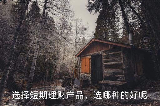 選擇短期理財產(chǎn)品，選哪種的好呢