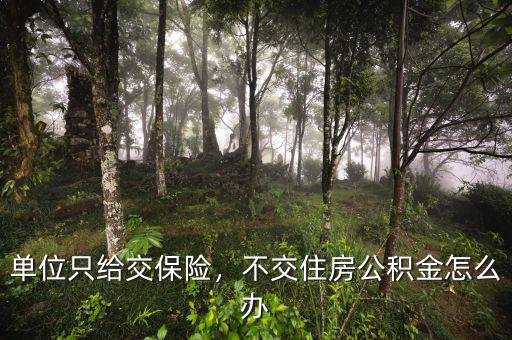 單位只給交保險，不交住房公積金怎么辦