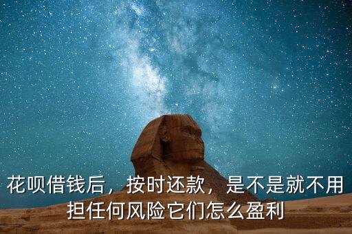 花唄借錢(qián)后，按時(shí)還款，是不是就不用擔(dān)任何風(fēng)險(xiǎn)它們?cè)趺从? class=