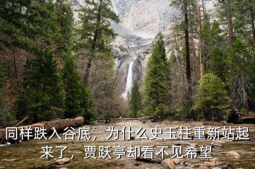 同樣跌入谷底，為什么史玉柱重新站起來了，賈躍亭卻看不見希望
