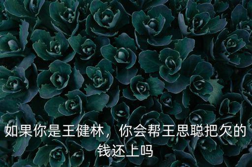 如果你是王健林，你會幫王思聰把欠的錢還上嗎