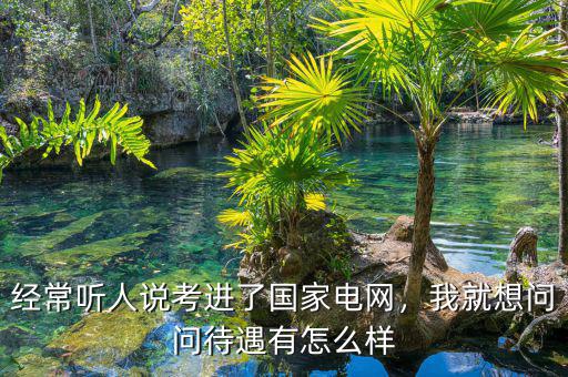 經(jīng)常聽人說考進(jìn)了國家電網(wǎng)，我就想問問待遇有怎么樣