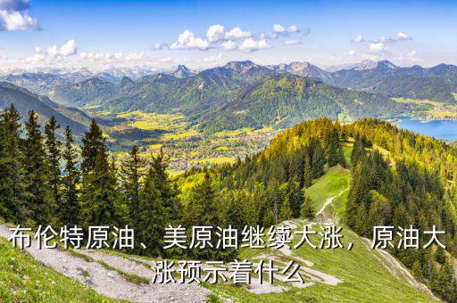 布倫特原油、美原油繼續(xù)大漲，原油大漲預(yù)示著什么
