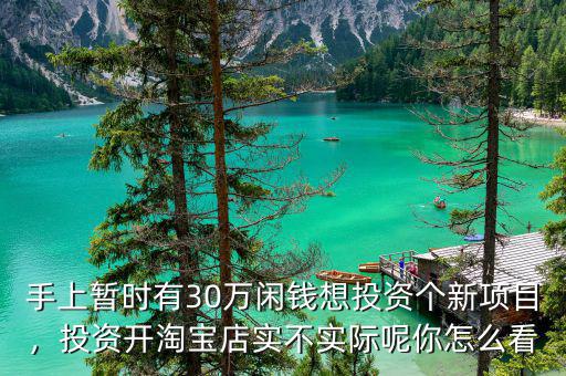 手上暫時有30萬閑錢想投資個新項目，投資開淘寶店實不實際呢你怎么看