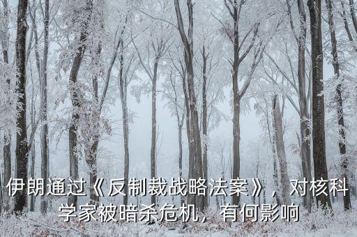 伊朗通過《反制裁戰(zhàn)略法案》，對(duì)核科學(xué)家被暗殺危機(jī)，有何影響