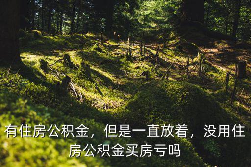 有住房公積金，但是一直放著，沒用住房公積金買房虧嗎