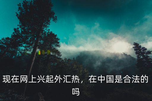 現(xiàn)在網(wǎng)上興起外匯熱，在中國是合法的嗎