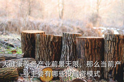 大健康養(yǎng)老產(chǎn)業(yè)前景無限，那么當(dāng)前產(chǎn)業(yè)主要有哪些投融資模式