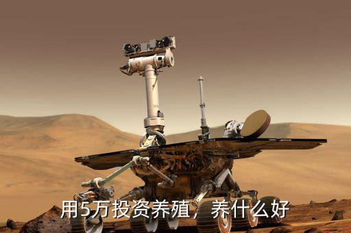 用5萬投資養(yǎng)殖，養(yǎng)什么好