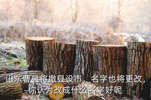 山東曹縣將撤縣設市，名字也將更改，你認為改成什么名字好呢
