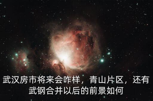 武漢房市將來會(huì)咋樣，青山片區(qū)，還有武鋼合并以后的前景如何