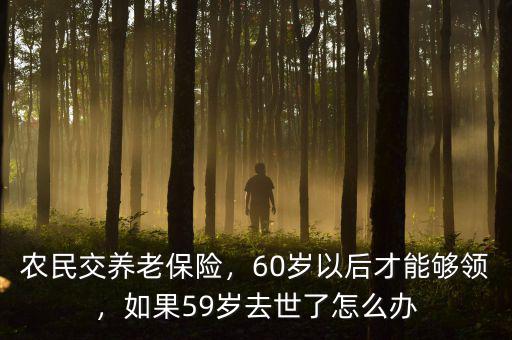 養(yǎng)老保險倒閉了農民怎么辦,農民交養(yǎng)老保險