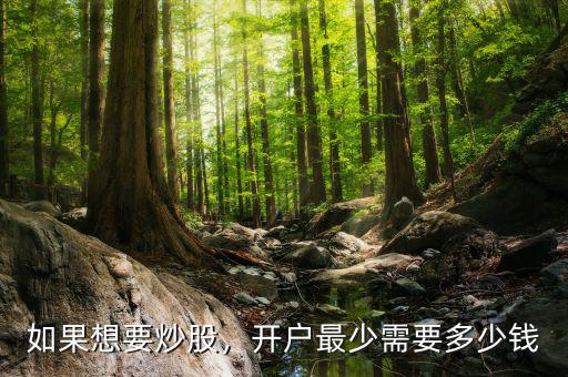 如果想要炒股，開戶最少需要多少錢