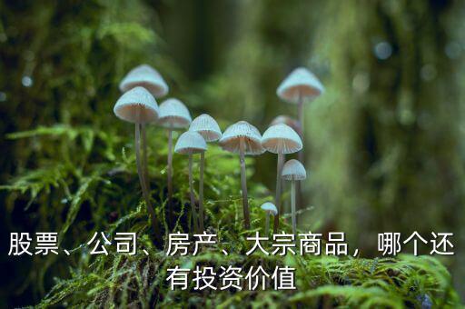 股票、公司、房產(chǎn)、大宗商品，哪個(gè)還有投資價(jià)值